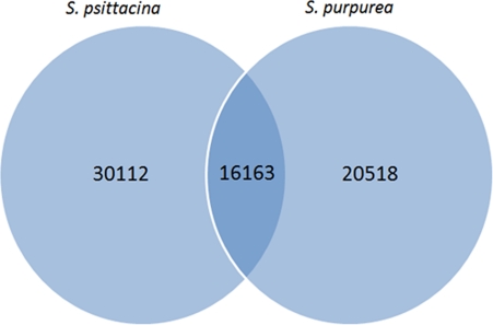 Figure 4.