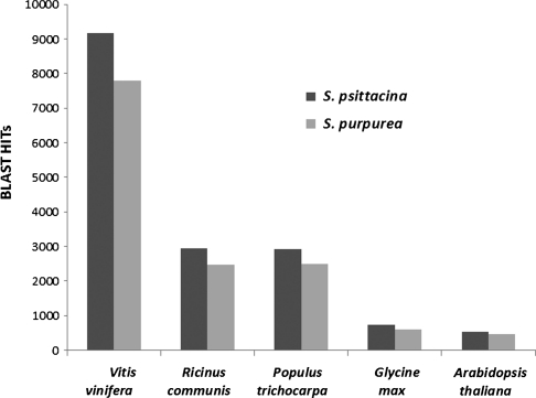 Figure 1.