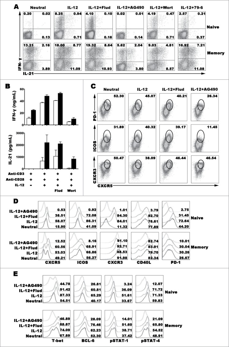 Figure 6 (See previous page).