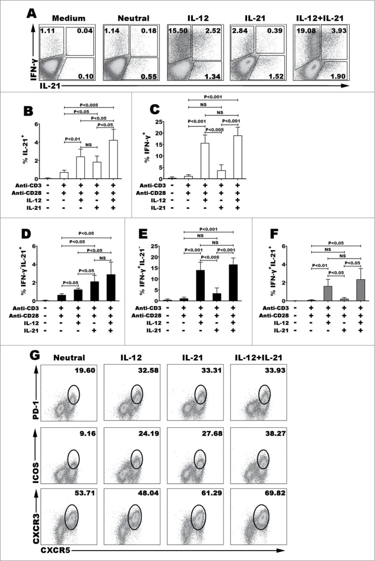 Figure 1 (See previous page).