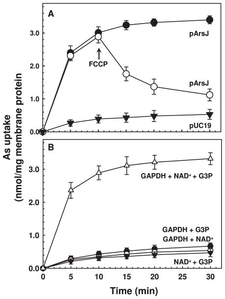 Fig. 5