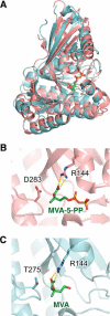 FIGURE 2.