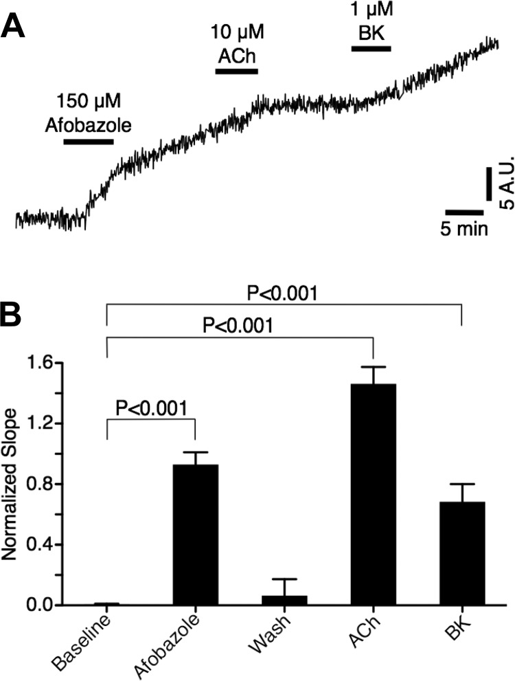 Fig. 8.