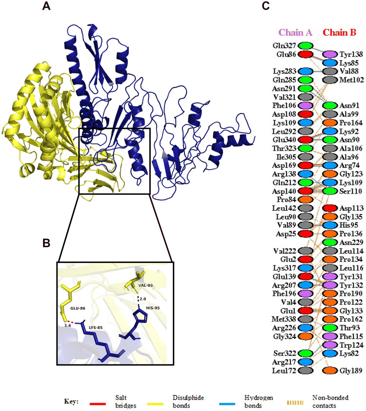 Figure 9