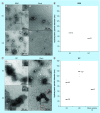 <b>Figure 1.</b>