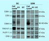 <b>Figure 2.</b>