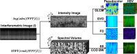Fig. 4