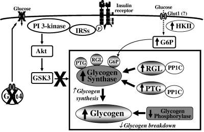 FIG. 10.