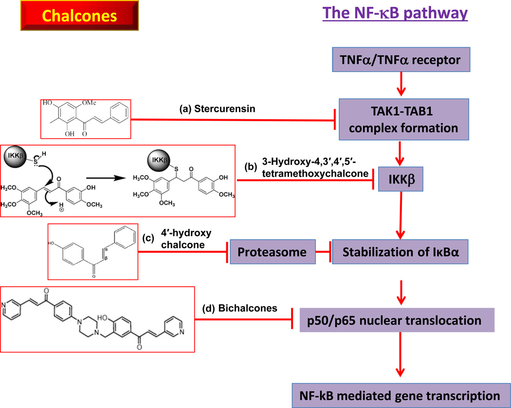 Fig. (2)