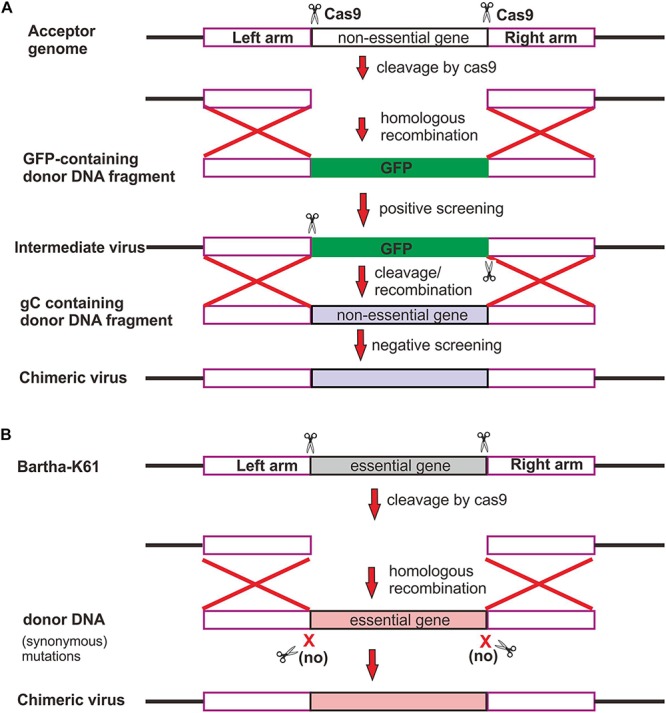 FIGURE 2