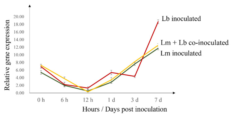 Figure 5