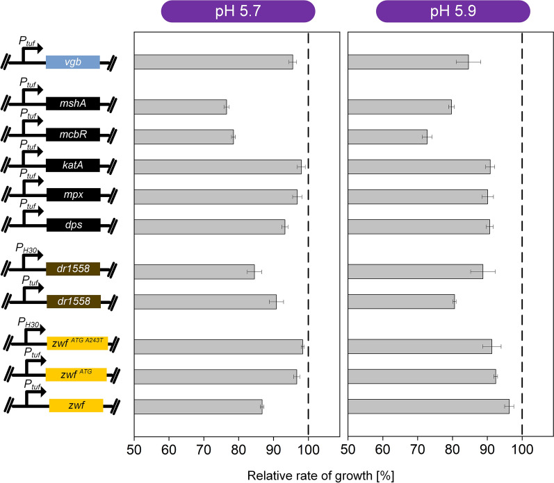 Fig. 4