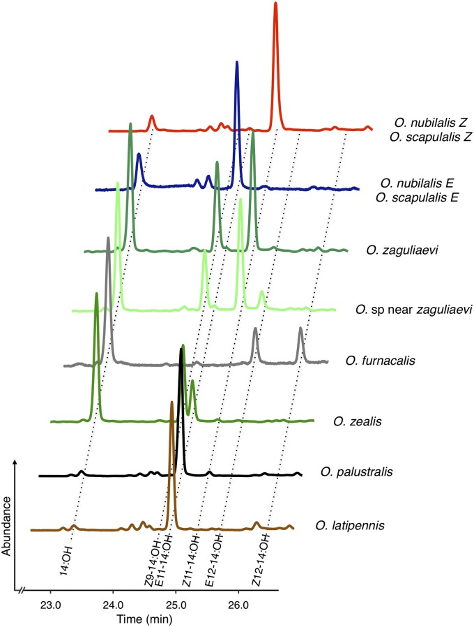 Fig. 4.