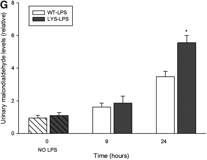 FIG. 10.