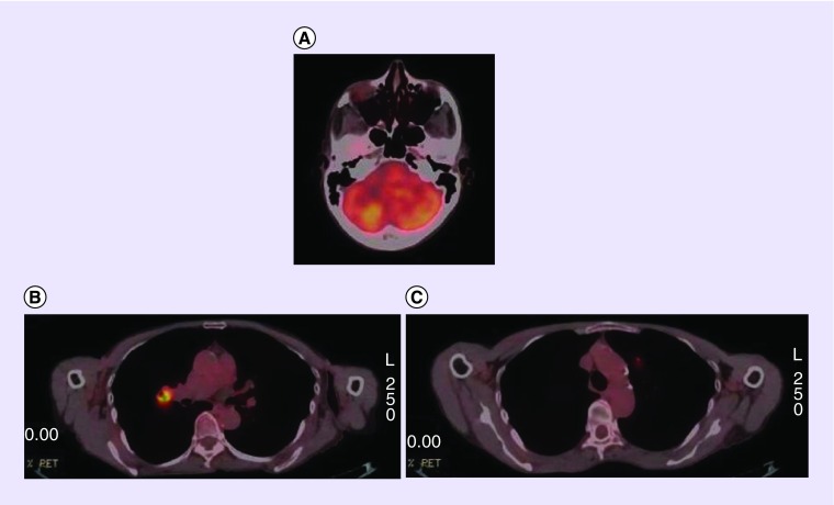 Figure 3. 