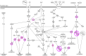 Supplementary Figure 1C