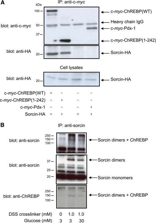 FIG. 1.