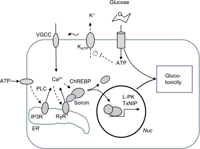 FIG. 8.