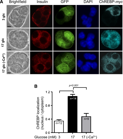 FIG. 6.