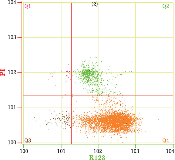 Fig. 3.