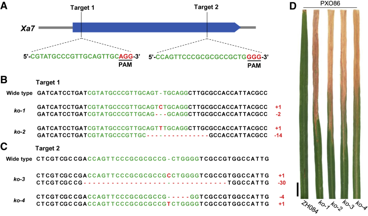 Figure 2