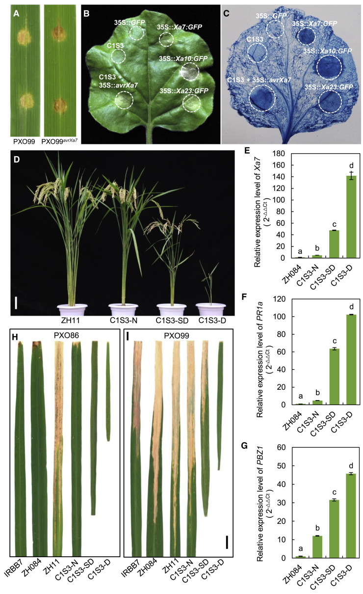 Figure 4