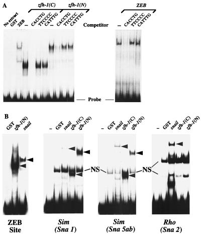 FIG. 1