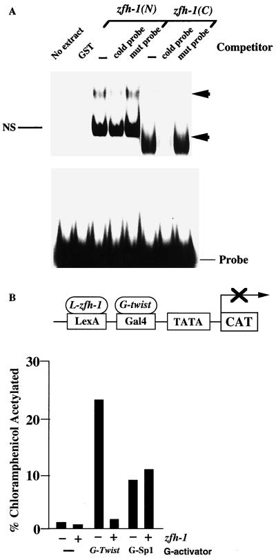 FIG. 6