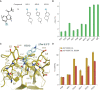 Figure 3. Azaindole compounds stabilized p53 Y220C to WT levels. A, Chemical structures of the azaindole series. B, p53 Y220C-CL was fully labeled by the compounds, purified by size-exclusion chromatography, and its thermal stability was analyzed by differential scanning fluorimetry. The difference in Tm relative to apo p53 Y220C-CL is displayed. C, Crystal structure of p53 Y220C-CL bound to KG13 at 1.7 Å resolution. D, 1 μmol/L of p53 Y220C-CL or p53 Y220C-CL D228A were incubated with 10 μmol/L compound at 4°C for 24 hours. Adduct formation was analyzed by LC/MS.