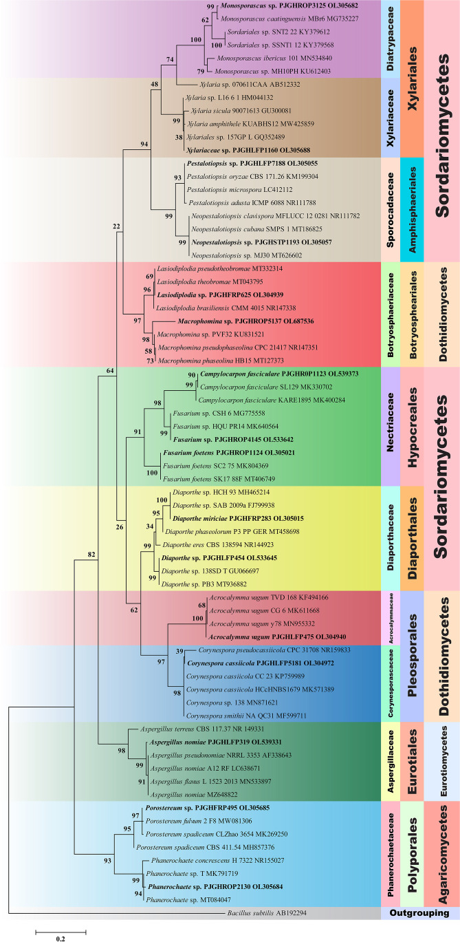 Fig. 3