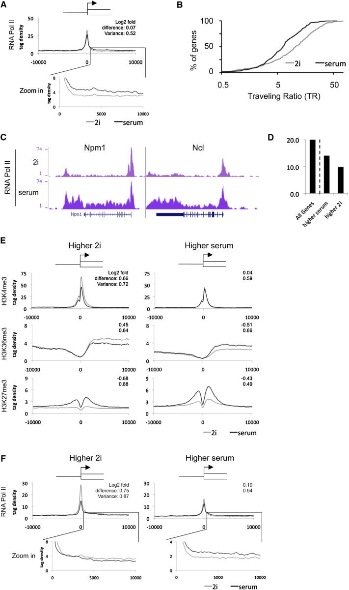 Figure 6