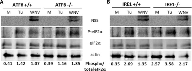 Fig 3