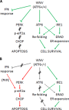 Fig 6