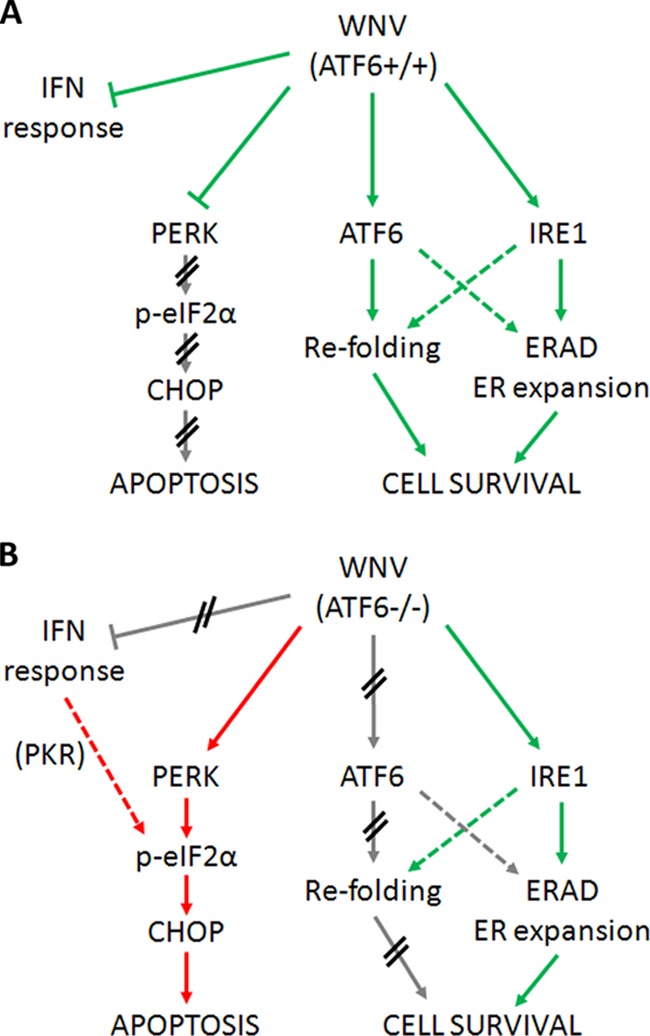 Fig 6