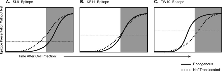 Fig 7