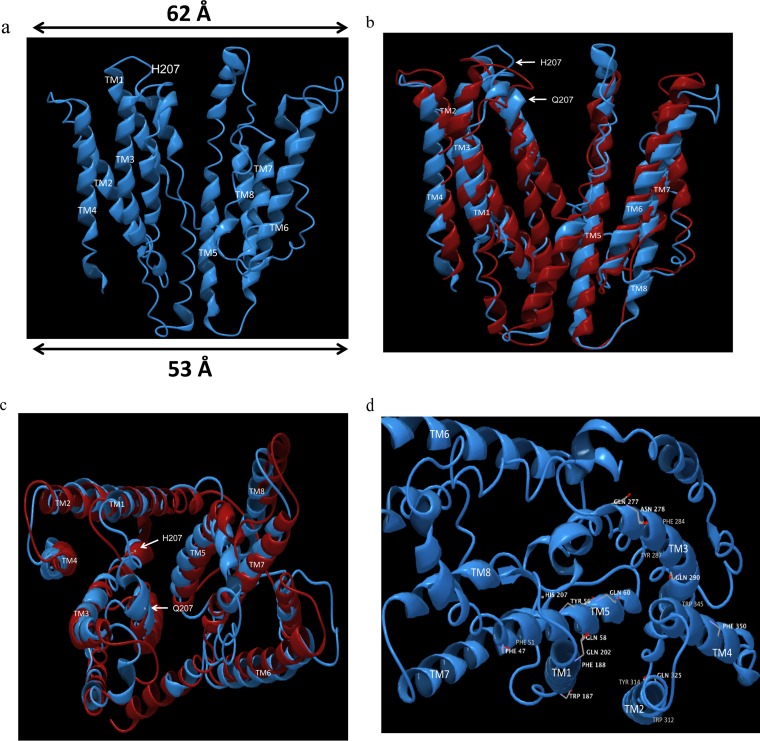 FIG 3