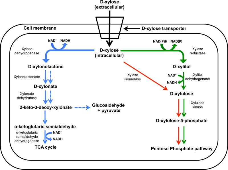 FIG 1