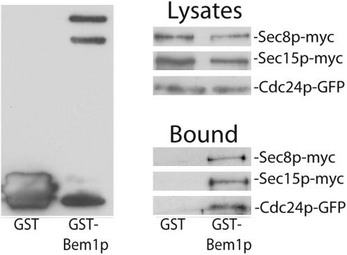 Figure 10.