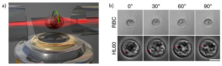 Figure 25