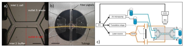 Figure 16