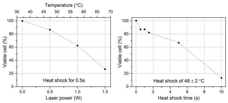 Figure 21