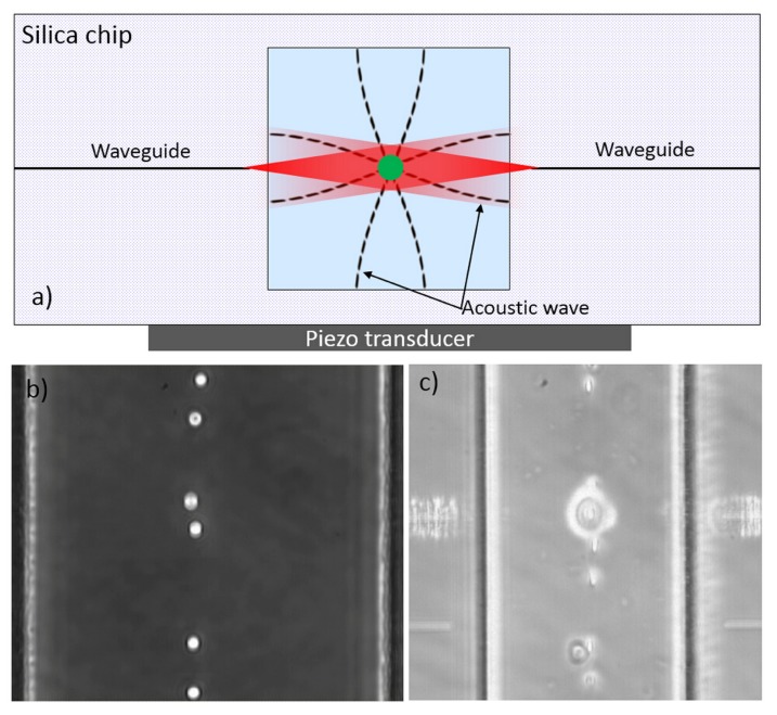 Figure 24