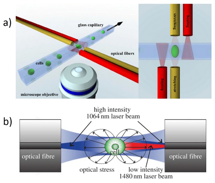 Figure 22