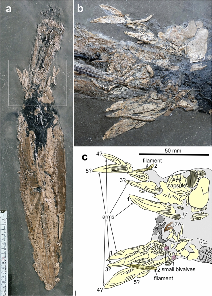 Fig. 3