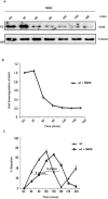 Figure 1—figure supplement 1.