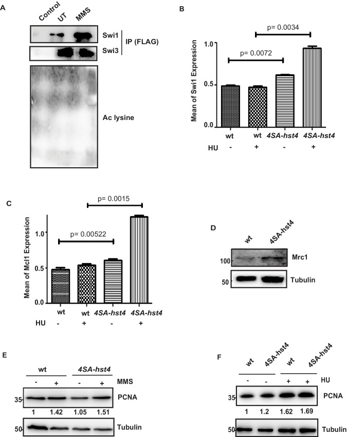 Figure 7—figure supplement 1.