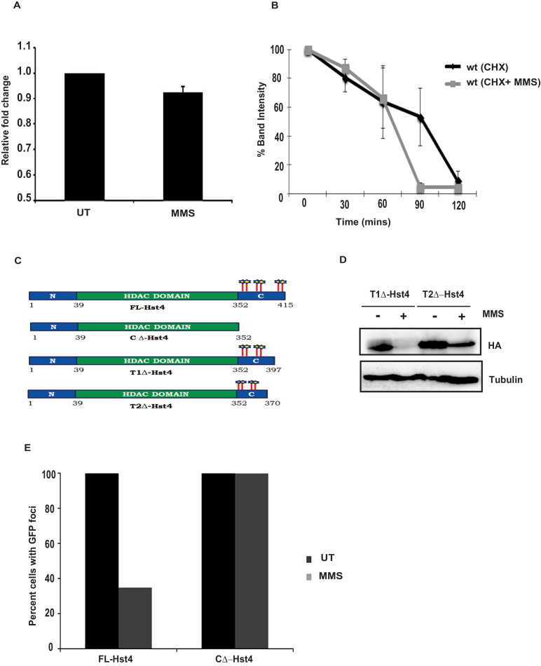 Figure 2—figure supplement 1.