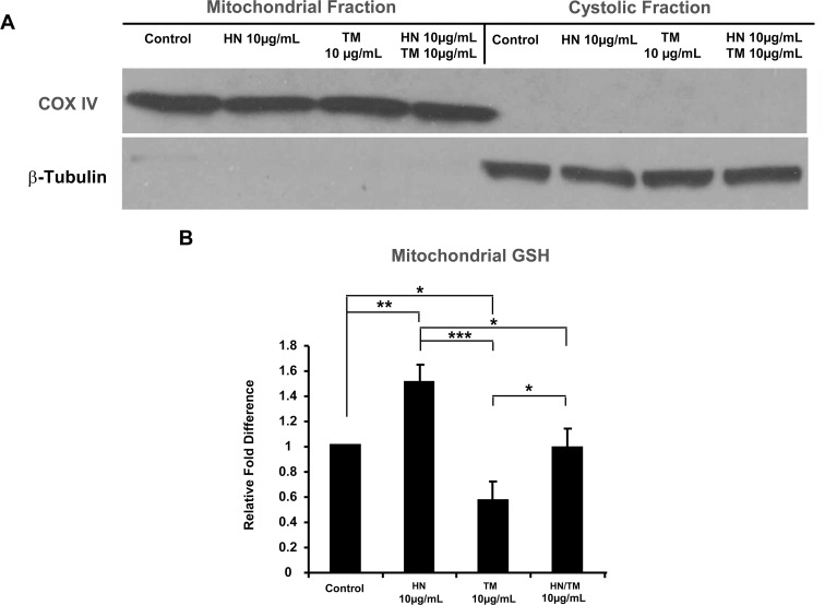 Fig 9