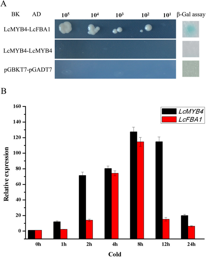 Fig. 9