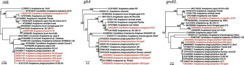 Fig. 4